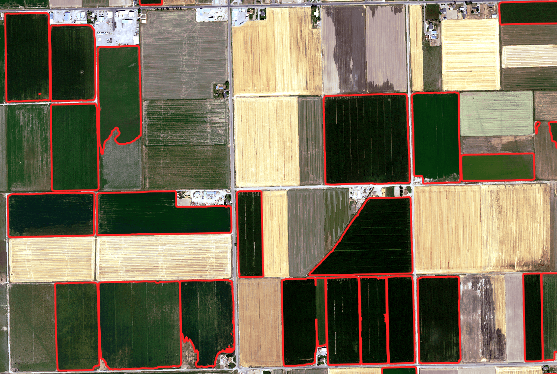 Delineate Irrigated Acreage